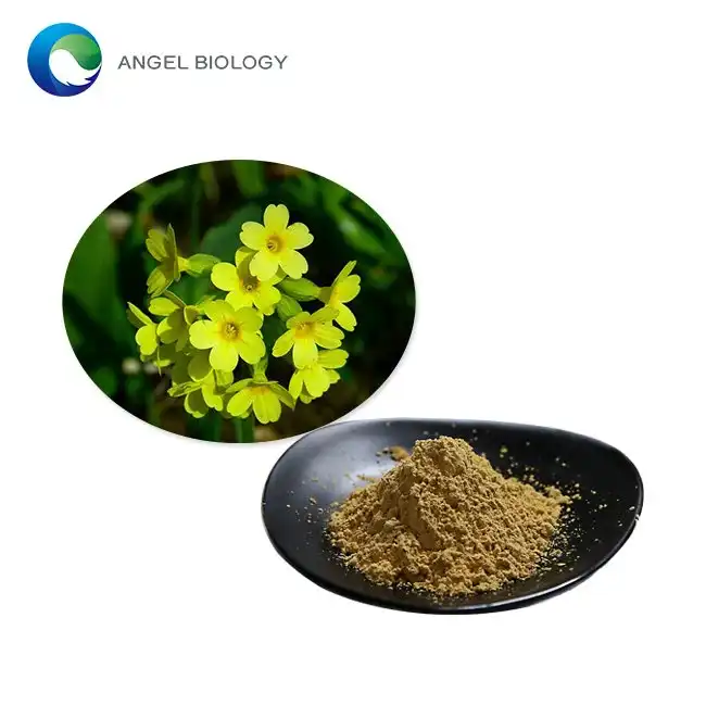 Primula Veris Extract Powder